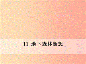 九年級語文下冊 第三單元 11 地下森林?jǐn)嘞胝n件 新人教版.ppt