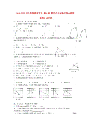 2019-2020年九年級(jí)數(shù)學(xué)下冊(cè) 第6章 圖形的相似單元綜合檢測(cè)（新版）蘇科版.doc