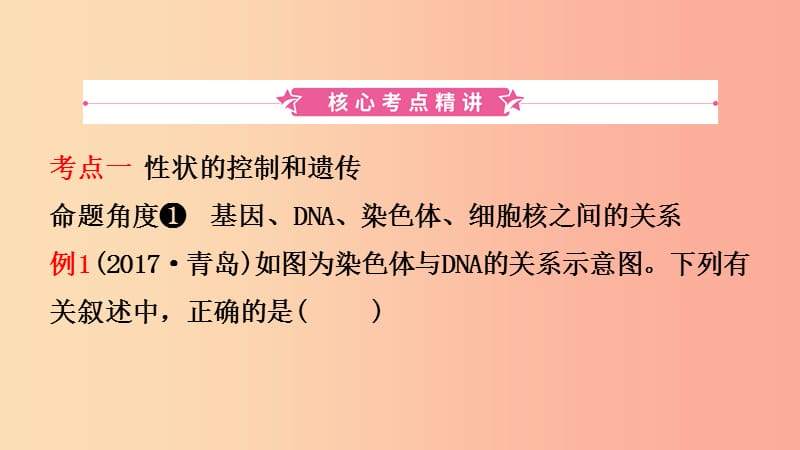 山东省2019年中考生物总复习 第七单元 生物圈中生命的延续和发展 第二章 生物的遗传与变异课件.ppt_第2页