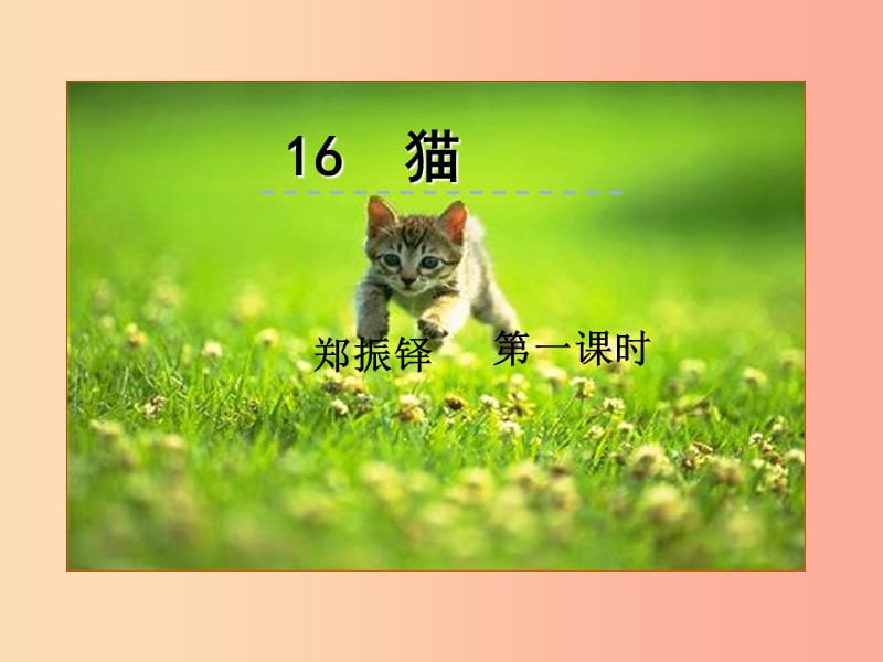 2019年七年级语文上册 第五单元 16 猫第一课时课件 新人教版.ppt_第1页