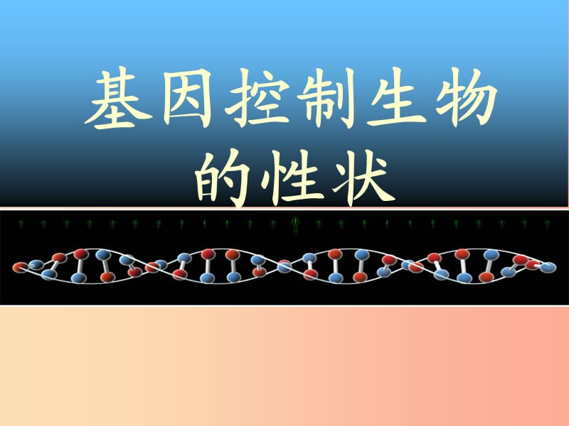 吉林省通化市八年级生物下册 7.2.1基因控制生物的性状课件 新人教版.ppt_第2页