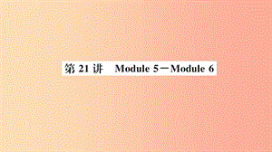 山東省2019年中考英語(yǔ)一輪復(fù)習(xí) 九下 第21講 Module 5-Module 6課件.ppt