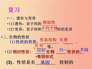 吉林省通化市八年級生物下冊 7.2.2基因在親子代間的傳遞課件 新人教版.ppt