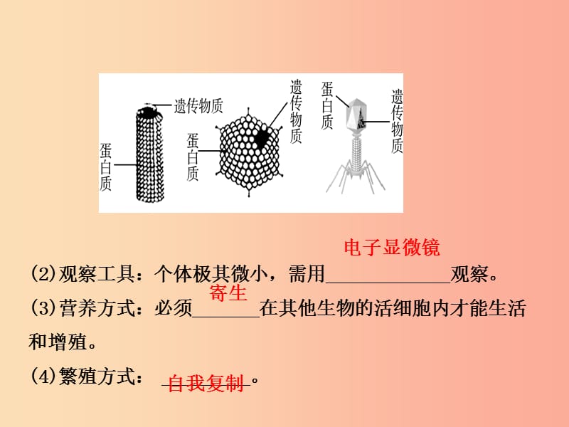 济宁专版2019年中考生物第二单元第三章第四章复习课件.ppt_第3页