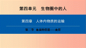 2019年七年級(jí)生物下冊(cè) 第四單元 第四章 第二節(jié) 血流的管道──血管課件 新人教版.ppt