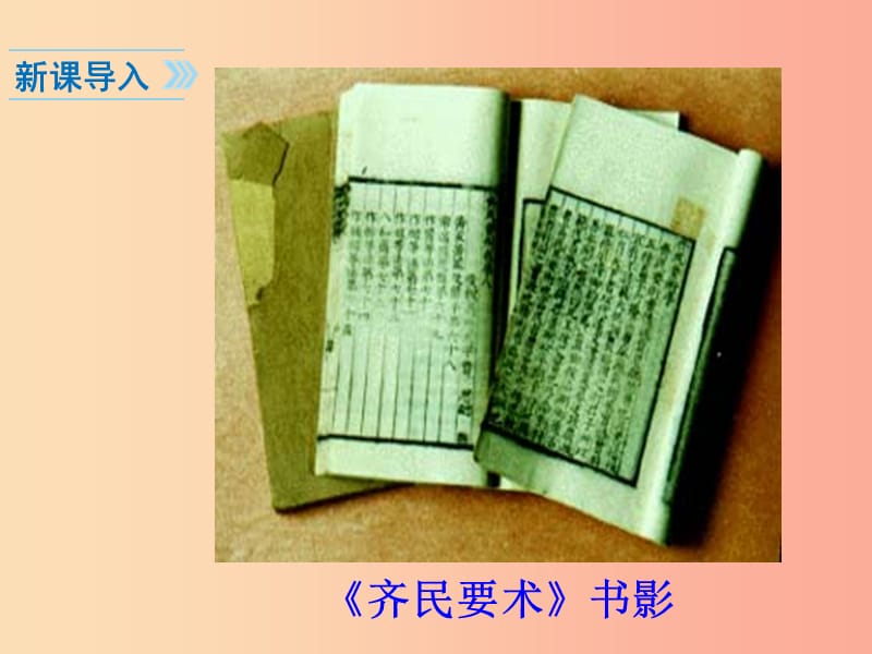 2019年秋七年级历史上册第四单元三国两晋南北朝时期：政权分立与民族融合第20课魏晋南北朝的科技与文化.ppt_第2页