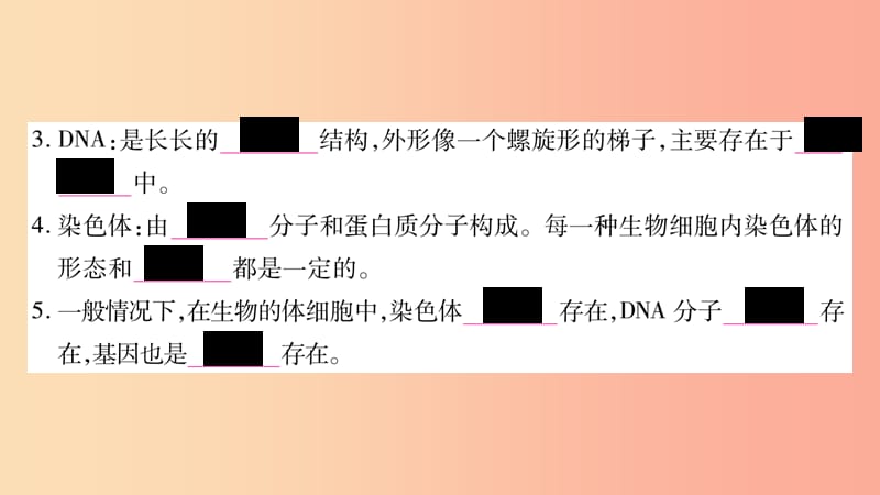 2019年八年级生物下册 7.2.2 基因在亲子代间的传递课件 新人教版.ppt_第3页