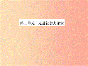 山東省2019年中考道德與法治總復(fù)習(xí) 九年級(jí) 第二單元 走進(jìn)社會(huì)大課堂課件.ppt