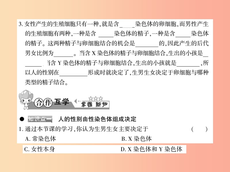 2019年八年级生物上册第六单元第20章第4节性别和性别决定习题课件（新版）北师大版.ppt_第2页