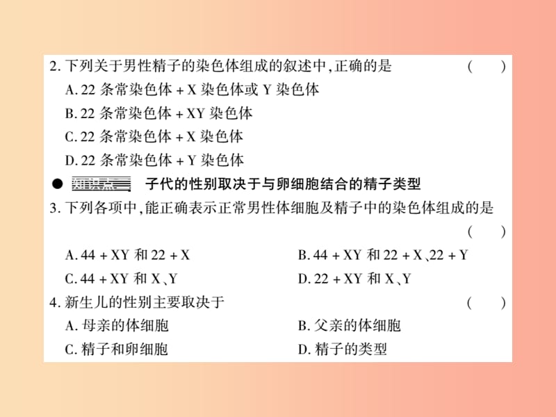 2019年八年级生物上册第六单元第20章第4节性别和性别决定习题课件（新版）北师大版.ppt_第3页