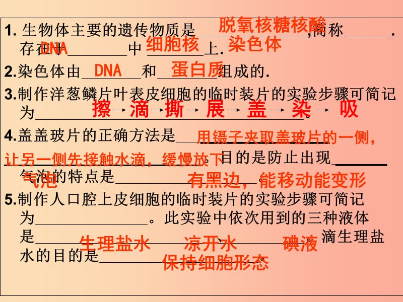江苏省七年级生物下册 8.2细胞的分裂和分化课件（新版）苏科版.ppt_第1页