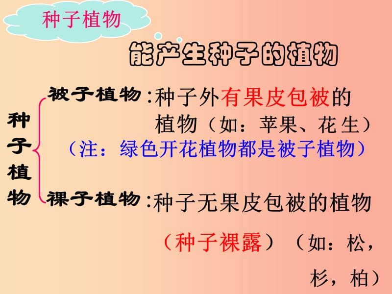 浙江省七年级科学上册 第2章 观察生物 2.5 常见的植物课件2（新版）浙教版.ppt_第2页