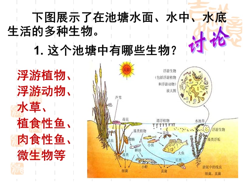 《高二生物群落的结构》PPT课件.ppt_第3页