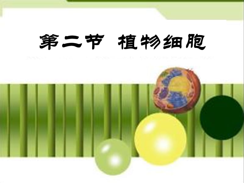 2019-2020年七年级生物上册 第二单元 第一章 第二节 植物细胞课件 新人教版.ppt_第1页