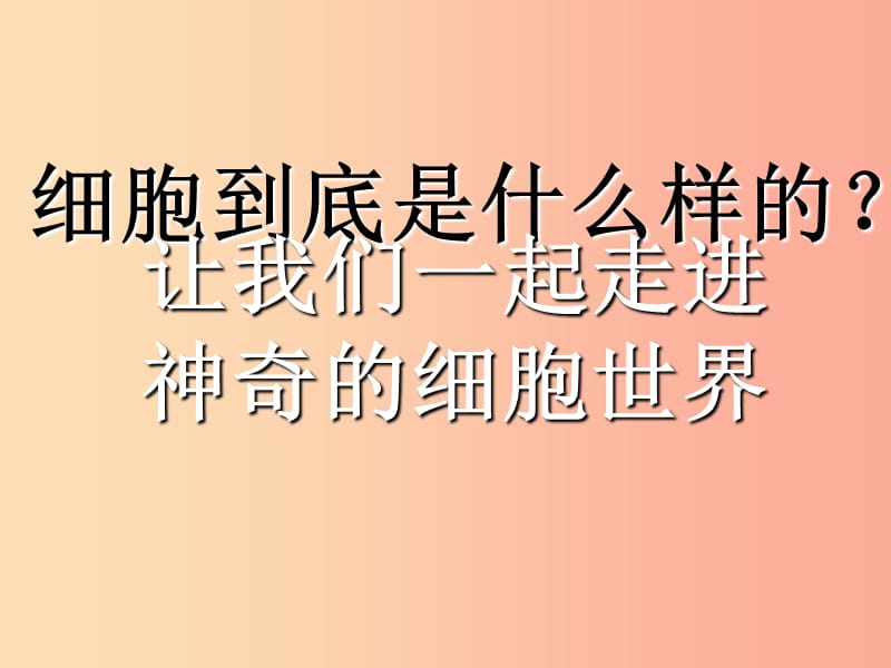 2019-2020年七年级生物上册 第二单元 第一章 第二节 植物细胞课件 新人教版.ppt_第2页