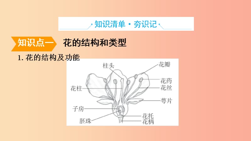 山东省2019年中考生物 主题复习十二 绿色开花植物的繁殖课件 济南版.ppt_第2页