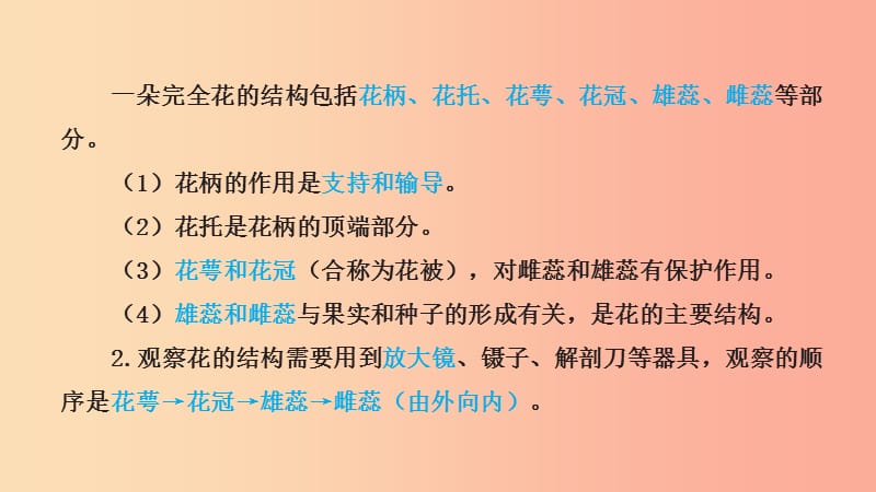 山东省2019年中考生物 主题复习十二 绿色开花植物的繁殖课件 济南版.ppt_第3页