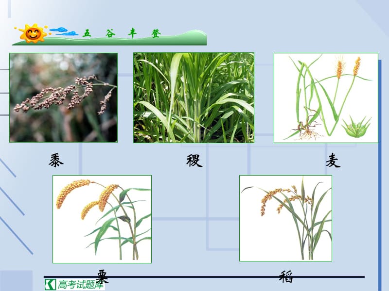 《发达的古代农业》课件(新人教版).ppt_第3页