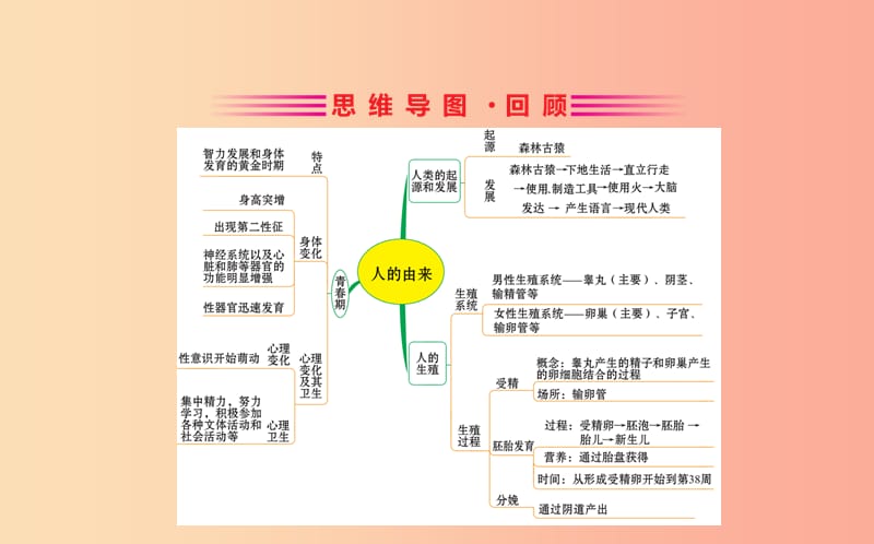 七年级生物下册 第四单元 生物圈中的人 期末抢分必胜课 第一部分 第四单元 生物圈中的人 第一章 人的由来.ppt_第2页