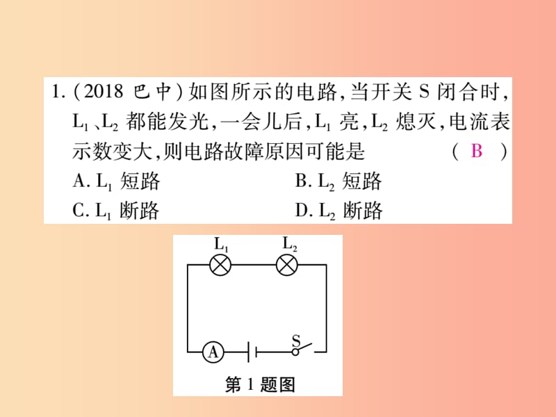 2019届中考物理 第一轮 考点系统复习 专项训练（6）故障分析课件.ppt_第2页