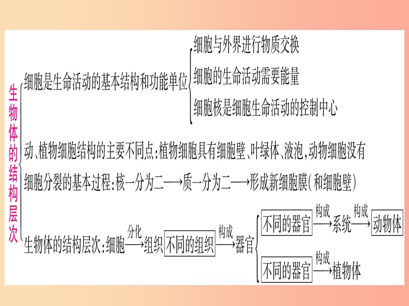 2019年中考生物 专题综合突破1 生物体的结构层次复习课件 冀教版.ppt_第2页