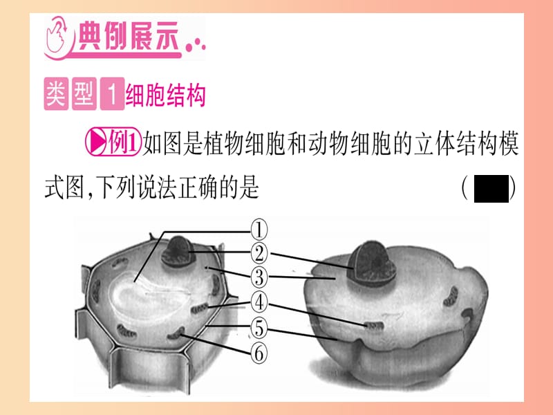 2019年中考生物 专题综合突破1 生物体的结构层次复习课件 冀教版.ppt_第3页