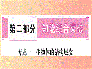 2019年中考生物 專題綜合突破1 生物體的結(jié)構(gòu)層次復(fù)習(xí)課件 冀教版.ppt