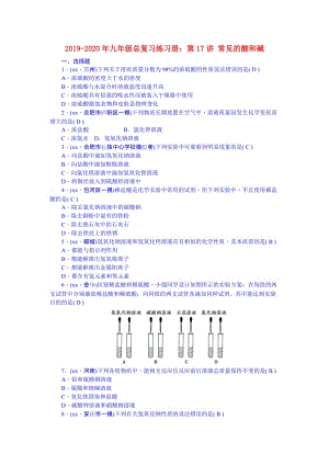 2019-2020年九年級(jí)總復(fù)習(xí)練習(xí)冊(cè)：第17講 常見(jiàn)的酸和堿.doc