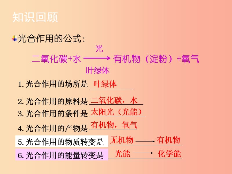 七年级生物上册 2.1.4 绿色植物的呼吸作用课件 （新版）济南版.ppt_第2页