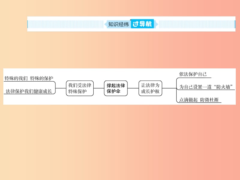 山东省聊城市2019年中考道德与法治 七下 第九单元 撑起法律保护伞复习课件.ppt_第2页