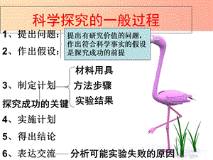 山東省七年級生物上冊 1.1.3生物學(xué)的探究方法課件（新版）濟(jì)南版.ppt