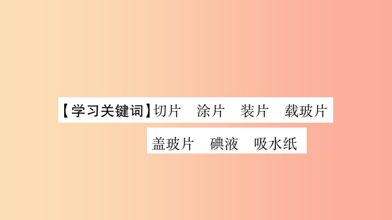 2019秋七年级生物上册第2单元第1章第2节植物细胞习题课件 新人教版.ppt_第2页