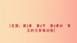 2019年秋七年級科學上冊 第2章 觀察生物 第4節(jié) 常見的動物 2.4.4 常見的無脊椎動物練習課件 浙教版.ppt