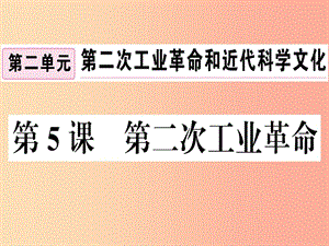 九年級歷史下冊 第二單元 第二次工業(yè)革命和近代科學(xué)文化 第5課 第二次工業(yè)革命習(xí)題課件 新人教版.ppt