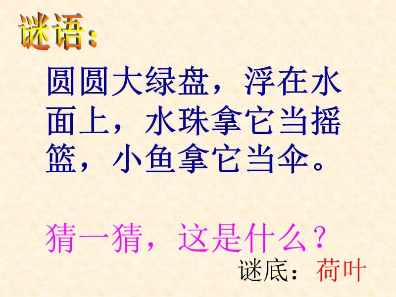 人教版一年级下册14《荷叶圆圆》上课用.ppt_第1页