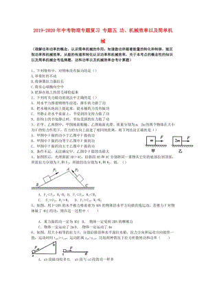 2019-2020年中考物理專題復(fù)習(xí) 專題五 功、機(jī)械效率以及簡(jiǎn)單機(jī)械.doc