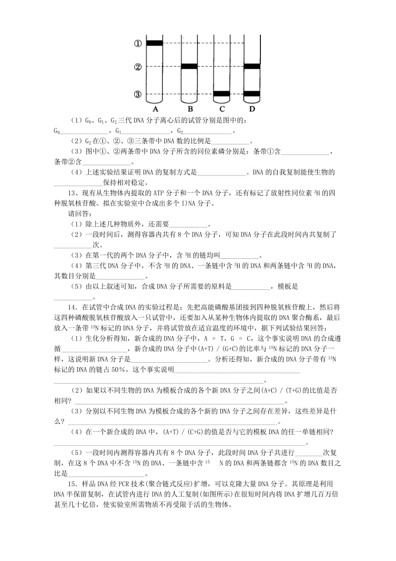 2019-2020年高二生物第三章 DNA的复制.doc_第3页