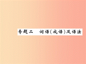 八年級(jí)語(yǔ)文下冊(cè) 期末專題二 詞語(yǔ)（成語(yǔ)）及法語(yǔ)習(xí)題課件 蘇教版.ppt