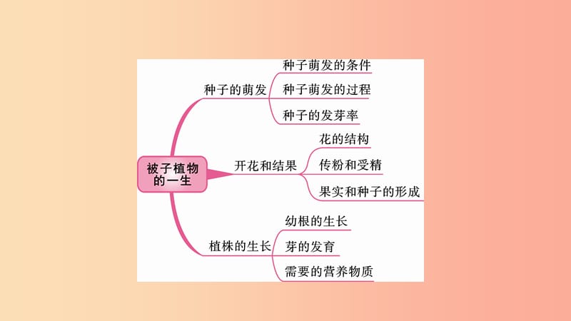 2019中考生物总复习 第一部分 基础考点巩固 第三单元 生物圈中的绿色植物 第二章 被子植物的一生课件.ppt_第2页