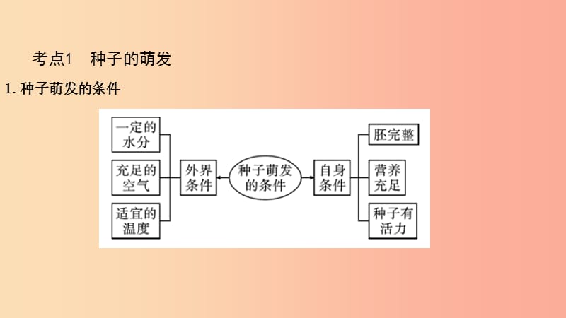 2019中考生物总复习 第一部分 基础考点巩固 第三单元 生物圈中的绿色植物 第二章 被子植物的一生课件.ppt_第3页