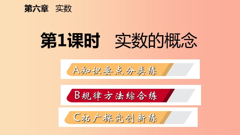 2019年春七年级数学下册第六章实数6.3实数第1课时实数的概念课件新人教版.ppt_第2页