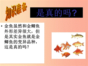 吉林省通化市八年级生物下册 7.2.5生物的变异课件2 新人教版.ppt