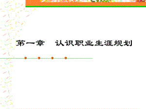 《大學(xué)生職業(yè)生涯規(guī)劃》第1章認(rèn)識(shí)職業(yè)生涯規(guī)劃.ppt