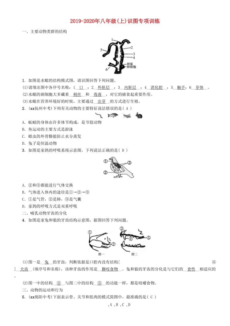 2019-2020年八年级(上)识图专项训练.doc_第1页