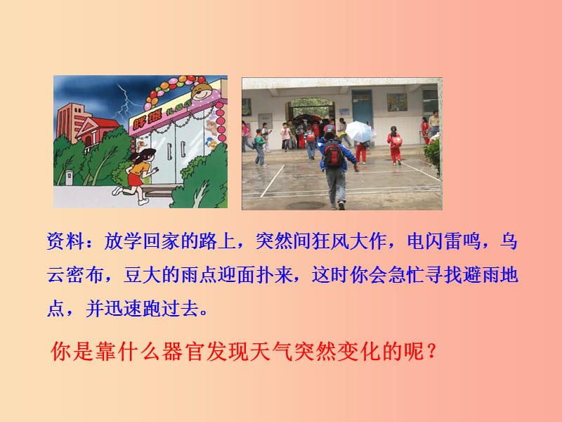 七年级生物下册 第四单元 生物圈中的人 第六章 人体生命活动的调节 1 人体对外界环境的感知教学 新人教版.ppt_第2页