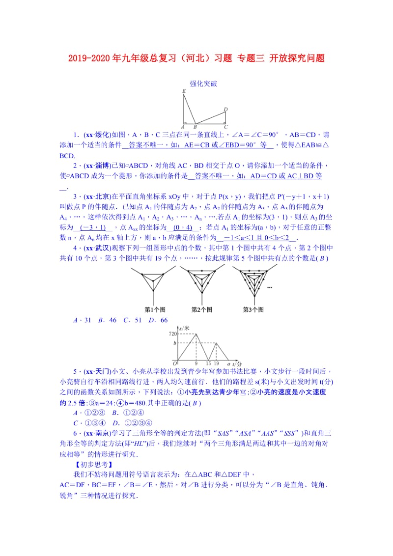 2019-2020年九年级总复习（河北）习题 专题三 开放探究问题.doc_第1页