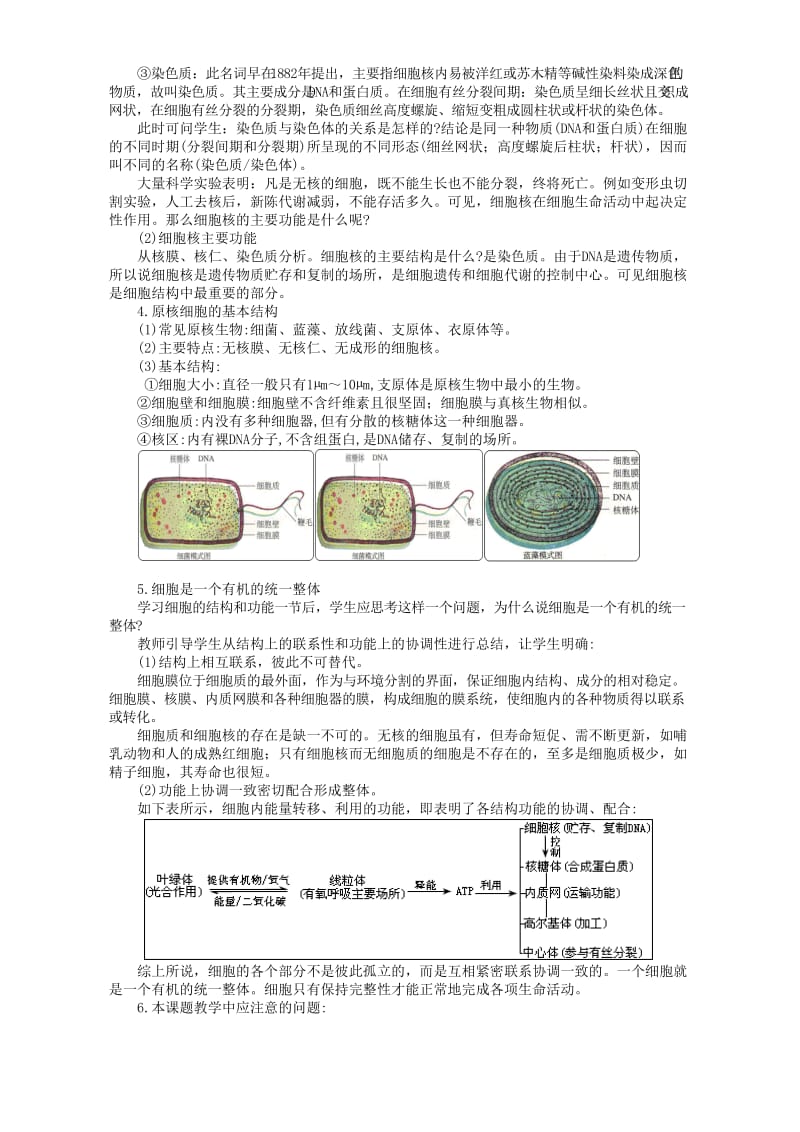 2019-2020年高二生物细胞核的结构与功能.doc_第3页