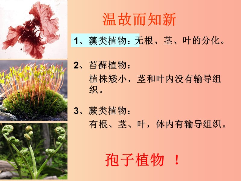 吉林省长春市七年级生物上册 第三单元 第一章 第二节《种子植物》课件2 新人教版.ppt_第1页