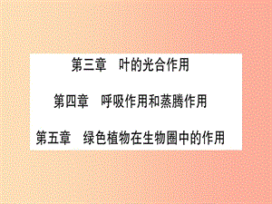 2019年中考生物 第3單元 第3-5章 綠色植物在生物圈中的作用復(fù)習(xí)習(xí)題課件 冀教版.ppt