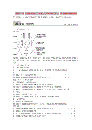 2019-2020年高考生物大一輪復(fù)習(xí) 第七單元 第22講 染色體變異教案.doc